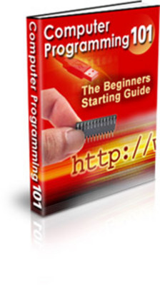 Product picture You Can Learn Computer Programming With PLR
